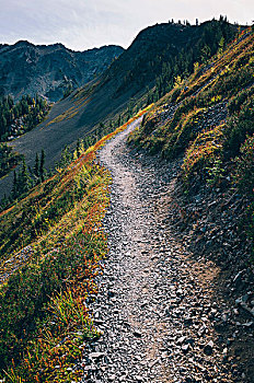 徒步旅行,北瀑布国家公园,太平洋,山峰,小路,质朴,高山,荒野,秋天,靠近,花冈岩,国家森林,华盛顿