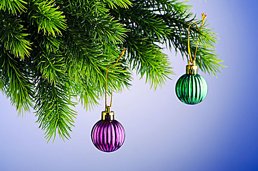 小玩意,圣诞树,庆贺,概念
