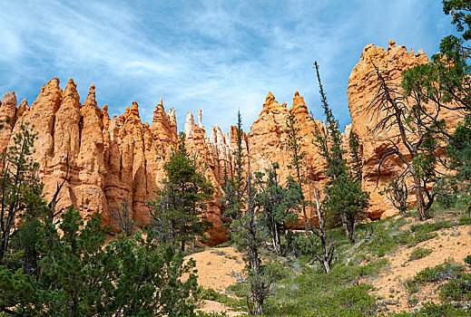 怪诞,岩石构造,红色,沙岩构造,小路,布莱斯峡谷国家公园,犹他,美国,北美