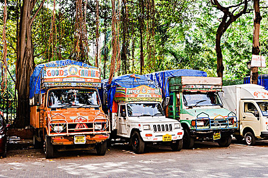 彩色,卡车,停放,圆,花园,孟买