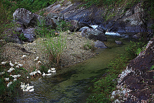 五指山风光