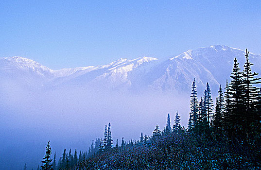 雾,北方,落基山脉,荒野,不列颠哥伦比亚省,加拿大