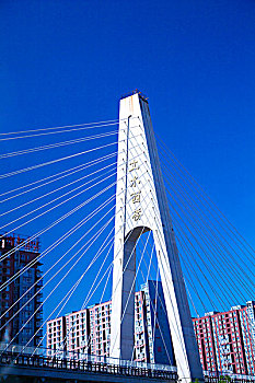 蓝天下的斜拉桥