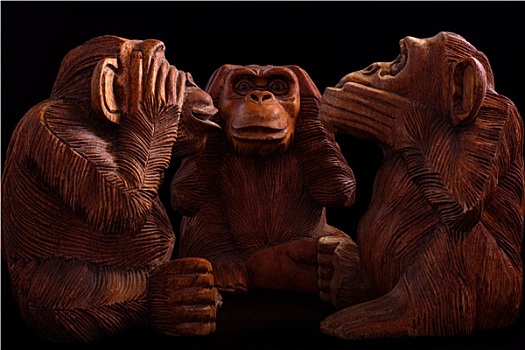三个,智慧,猴子