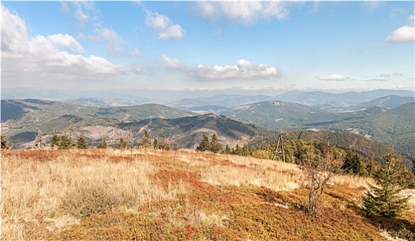 全景,山,波兰