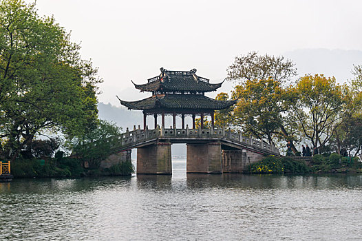 杭州西湖曲院风荷玉带桥