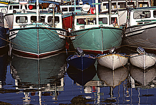 渔船,木,港口,新斯科舍省,加拿大