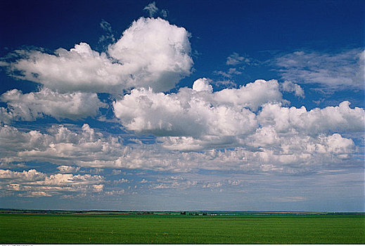 地点,云,靠近,驼鹿,颚部,萨斯喀彻温,加拿大