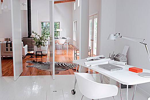 白色,设计师,工作区,木地板,正面,旋转,分隔,展示,客厅,地毯