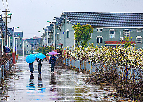 春雨,道路,伞,雨中,孩子