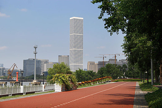 徐汇滨江步道,休闲步道