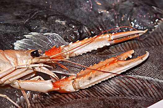 蝉虾,挪威龙虾,捆绑,爪