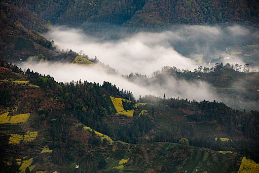 石潭,云海,安徽,山沟,油菜花,风光,壮观,气候,环境,仙境,诱惑,秀美,俯瞰,村庄