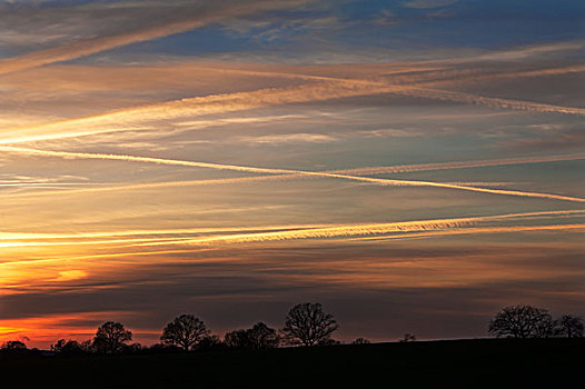日落,飞行云,空中,剪影,树,梅克伦堡前波莫瑞州,德国,欧洲