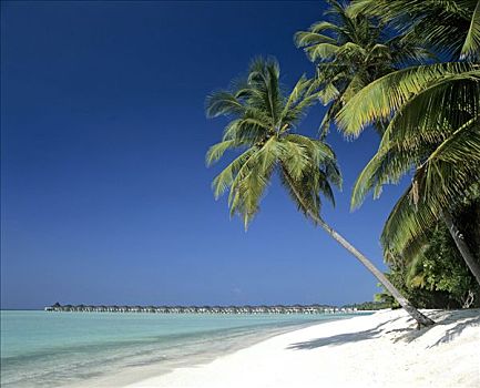 水,平房,手掌,海滩,太阳,岛屿,阿里环礁,马尔代夫,印度洋