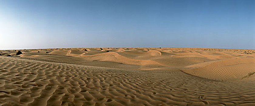 突尼斯,沙漠,全景