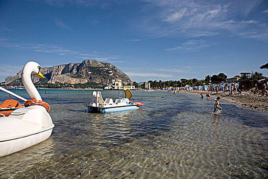 天鹅,桨轮船,海滩,靠近,巴勒莫,西西里,意大利,欧洲