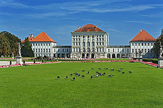 宁芬堡,宫殿,公园,鹅,慕尼黑,巴伐利亚,德国,欧洲
