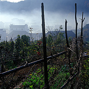 婺源石城古村秋色