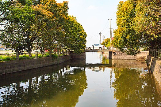 海曙,古林镇,河道,绿荫,柳树,西洋港村,水,五水共治,夏天,树木,天空