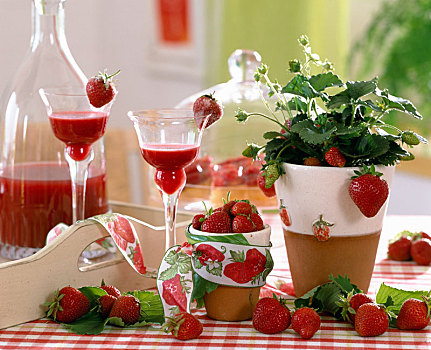 草莓,草莓植物,利口酒