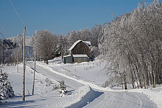 雪景,冬天,加拿大