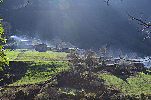 雾里村