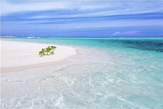 海洋,马尔代夫