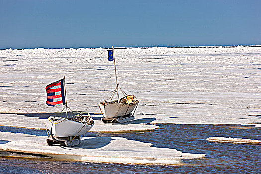两个,爱斯基摩,皮,船,冰,旗帜,局部,庆贺,楚科奇海,手推车,北极,阿拉斯加,夏天