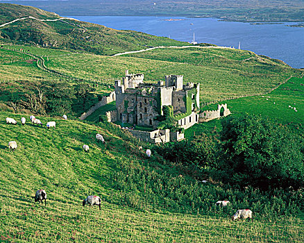 克利夫登,城堡,爱尔兰,19世纪,哥特复兴,风格