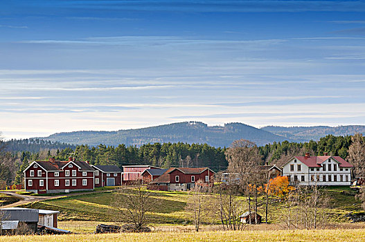 风景,郊区住宅,瑞典