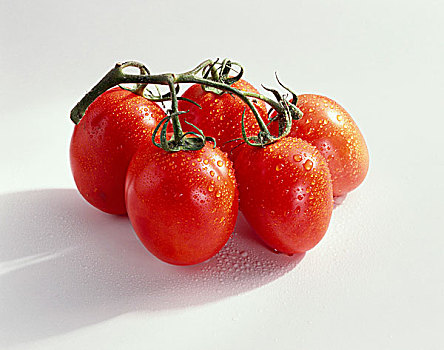 西红柿,番茄,品种,抠像,水滴,五个,食物,单独