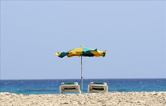 阳伞,海滩,休闲,干盐湖,富埃特文图拉岛,加纳利群岛,西班牙,欧洲