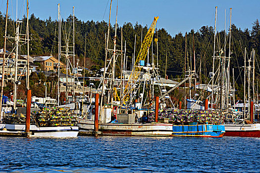 打渔船队,纽波特,俄勒冈,美国