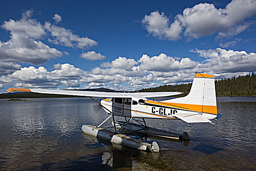 滑行,水上飞机,两栖飞机,北美驯鹿,湖,河,育空地区,加拿大