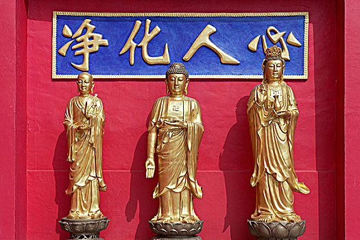 佛,金色,雕塑,寺院,锡,新界,香港,中国,亚洲