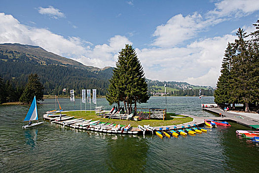 踏板船,船,租赁,湖,瑞士,欧洲