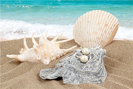 两个,珍珠耳环,壳,沙滩