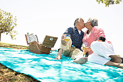 老年,夫妻,坐,野餐毯,吻