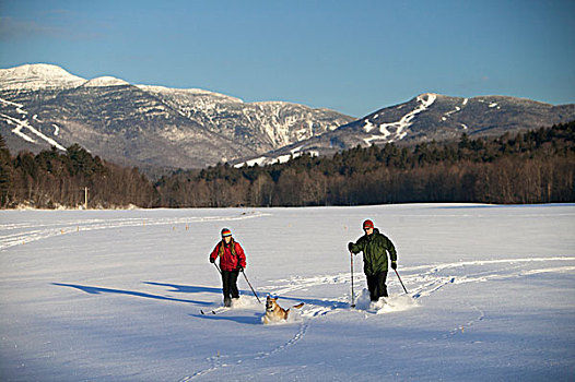 美国,佛蒙特州,伴侣,越野滑雪,狗