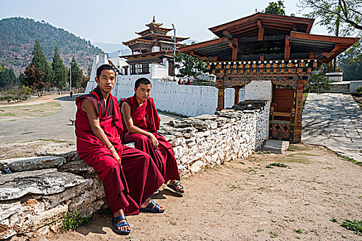 两个,年轻,僧侣,户外,佛教,寺院,不丹