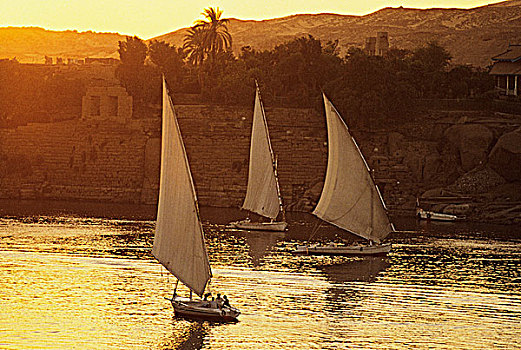 埃及,阿斯旺,三桅小帆船,尼罗河