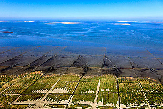 瓦登海,海岸