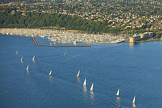 航拍,帆船赛,码头,西雅图,美国