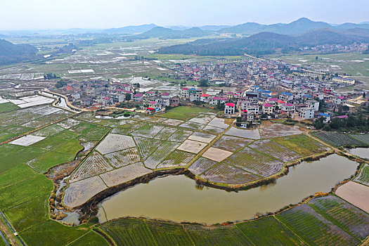 江西金溪,乡村春景美如画