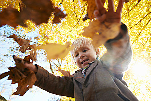男孩,玩,叶子,树林