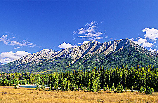 山谷,山脉,库特尼国家公园,不列颠哥伦比亚省,加拿大