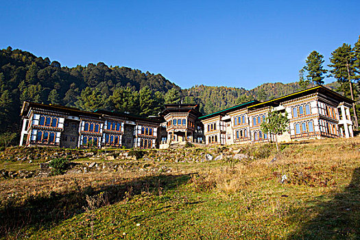 酒店,山谷,不丹