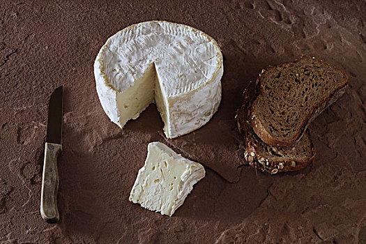 法国,软奶酪,砂岩