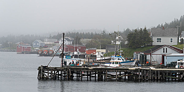 渔船,停泊,码头,露易斯堡,布雷顿角岛,新斯科舍省,加拿大